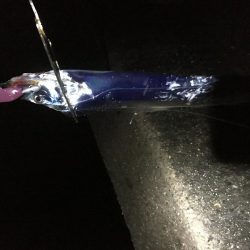 深夜の太刀魚釣り